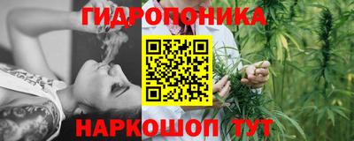 прущие грибы Лесосибирск